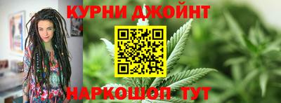 гашик Новозыбков