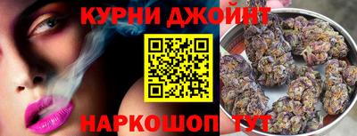 гашик Новозыбков