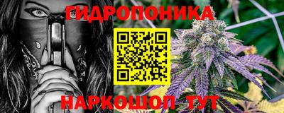 эйфоретик Новокубанск