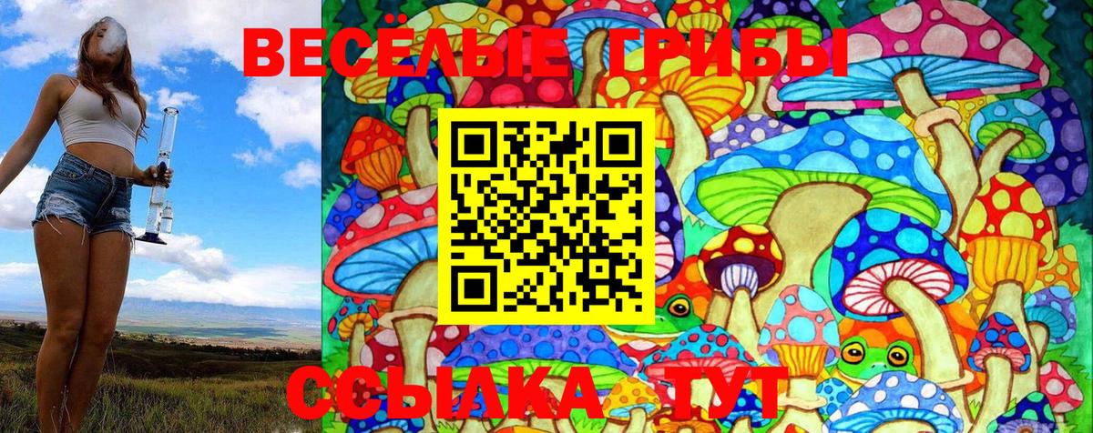 Галлюциногенные грибы GOLDEN TEACHER  Вход с VPN  Фурманов 