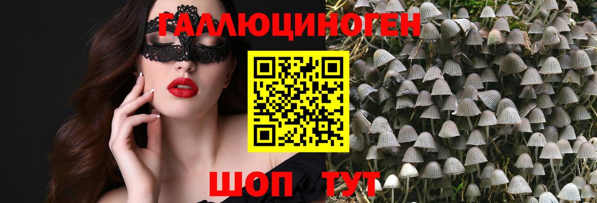 Псилоцибиновые грибы MAGIC MUSHROOMS Фурманов